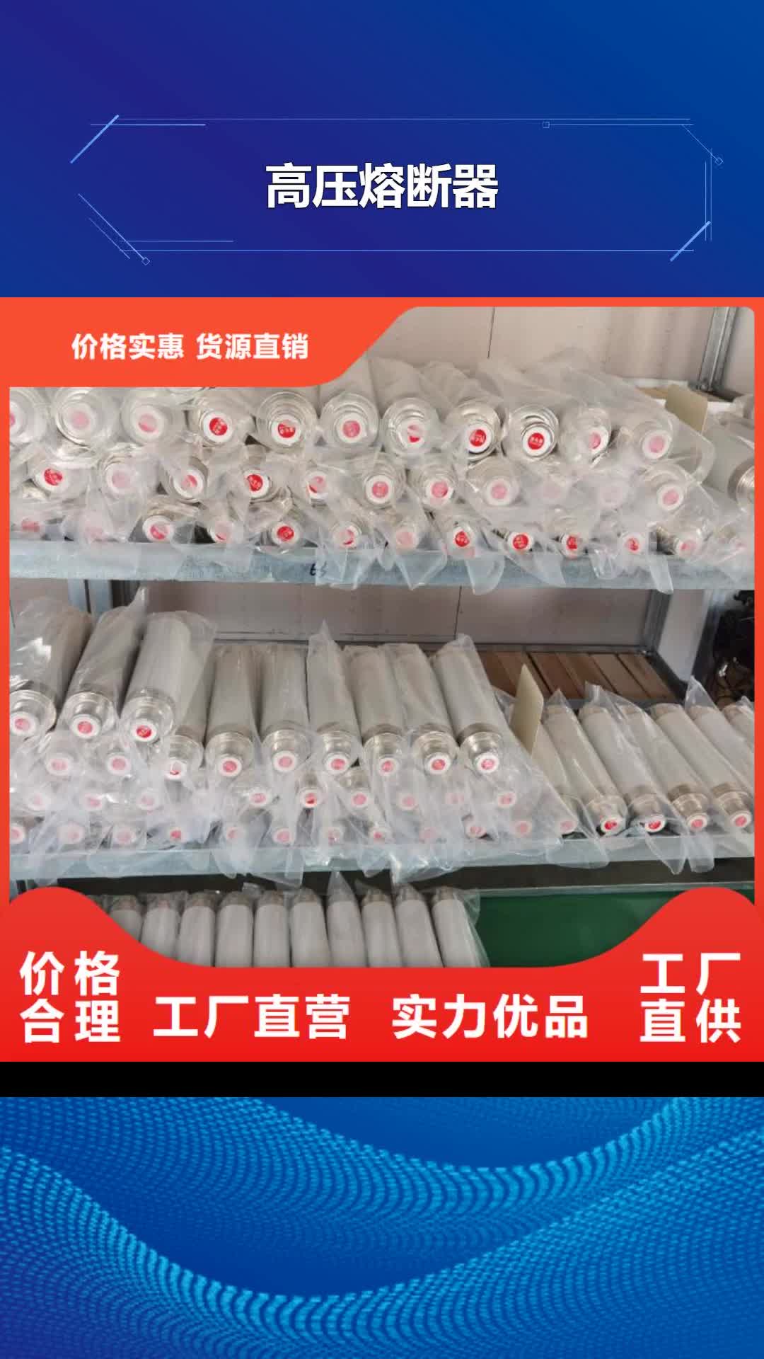 株洲【高压熔断器】高压保险丝保险管厂家技术完善