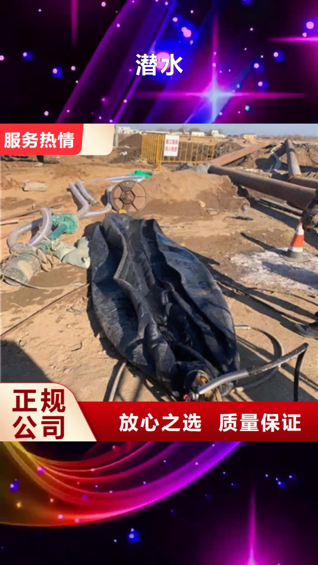 湘潭【潜水】_桥桩桥墩水下检测录像公司高效