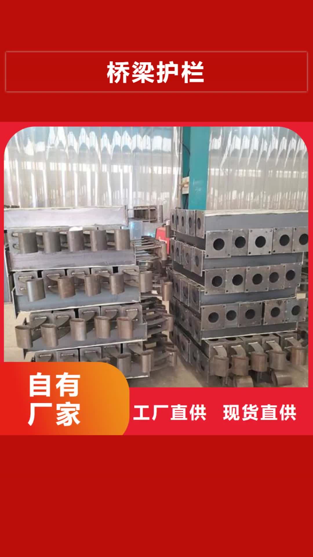 丽水【桥梁护栏】河道护栏量大更优惠