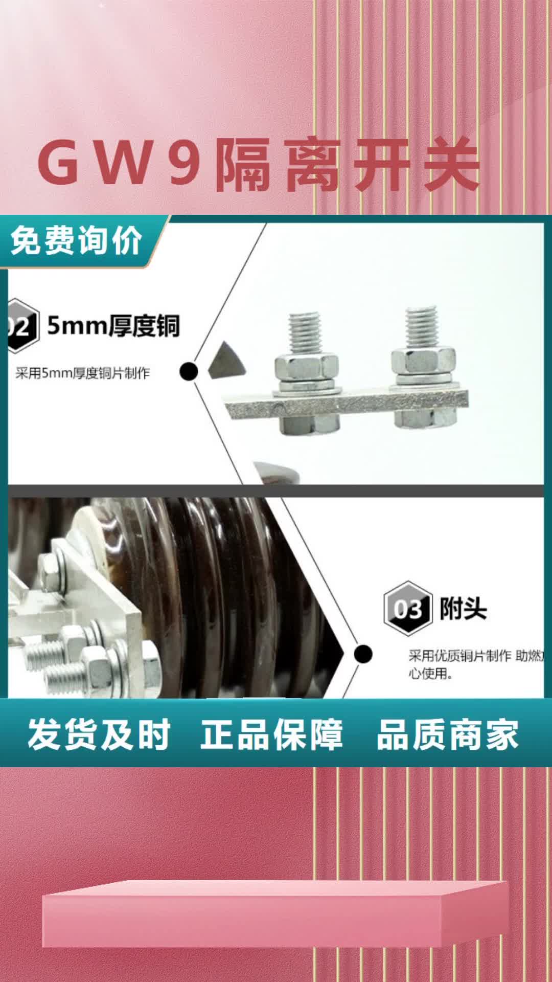 宁波【GW9隔离开关】_高压隔离开关实拍品质保障