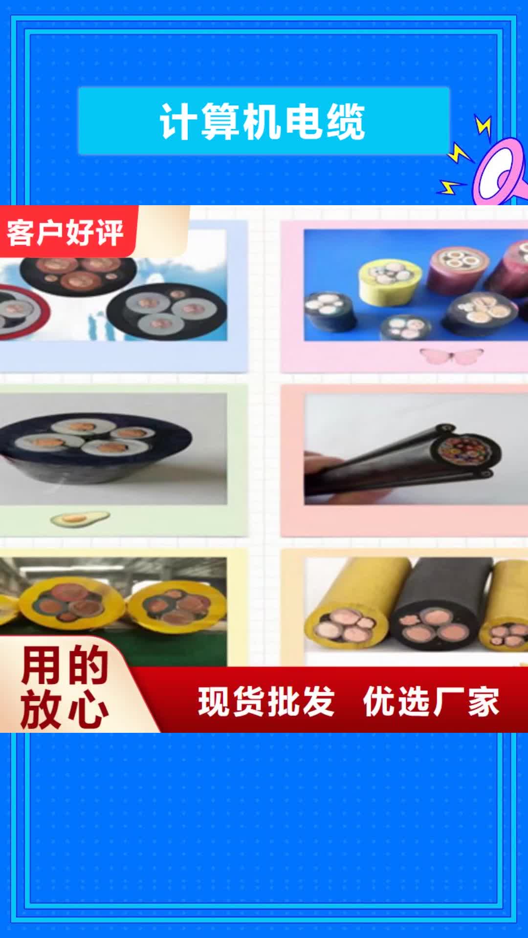 漳州 计算机电缆 【信号电缆】质量安全可靠