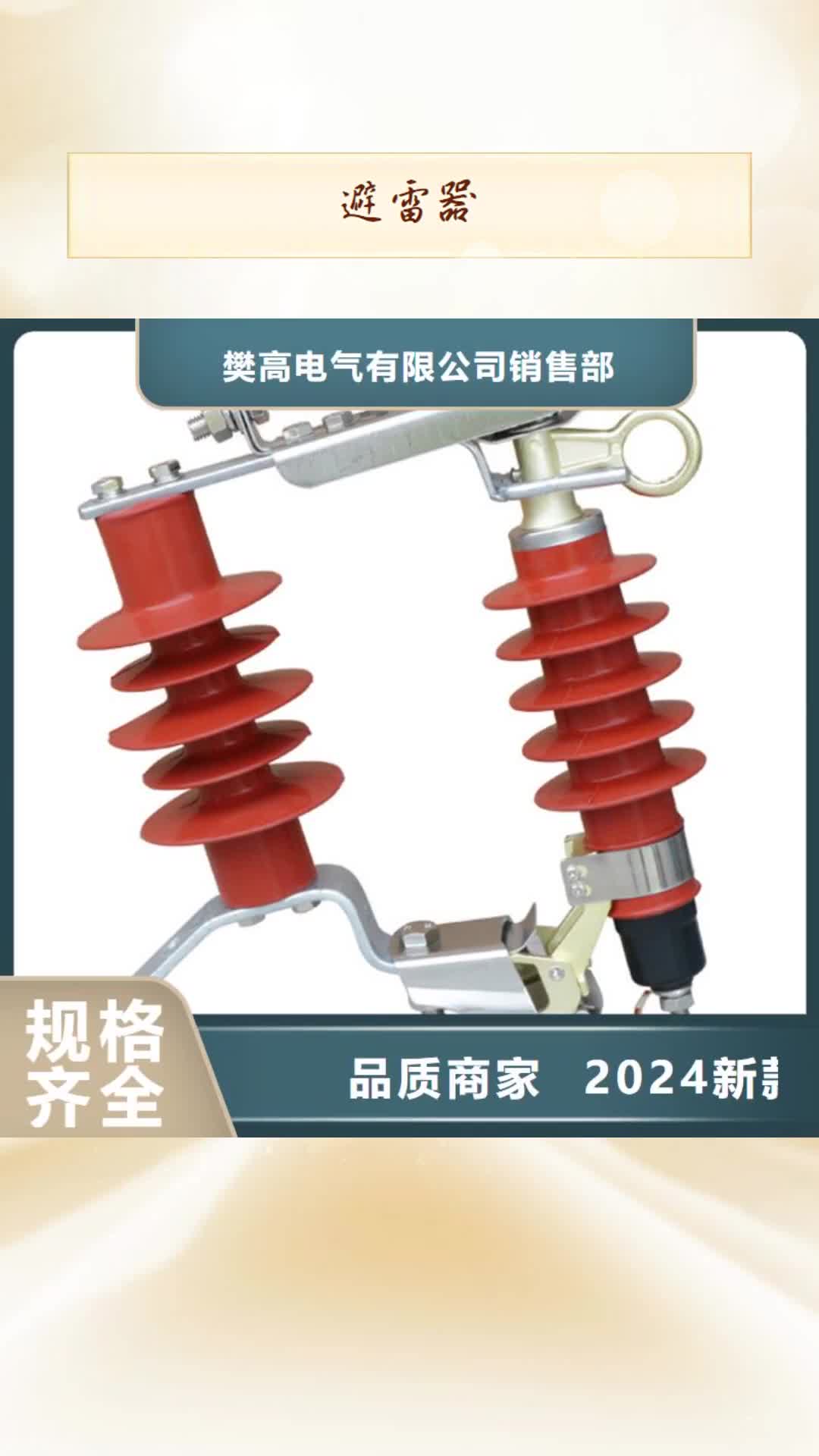 益阳避雷器绝缘子生产加工