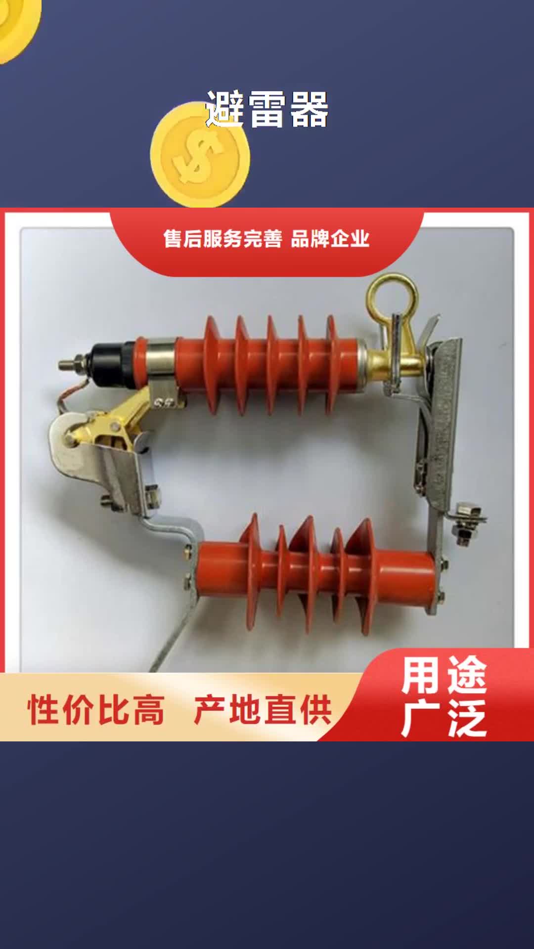 【攀枝花 避雷器_固定金具品牌专营】