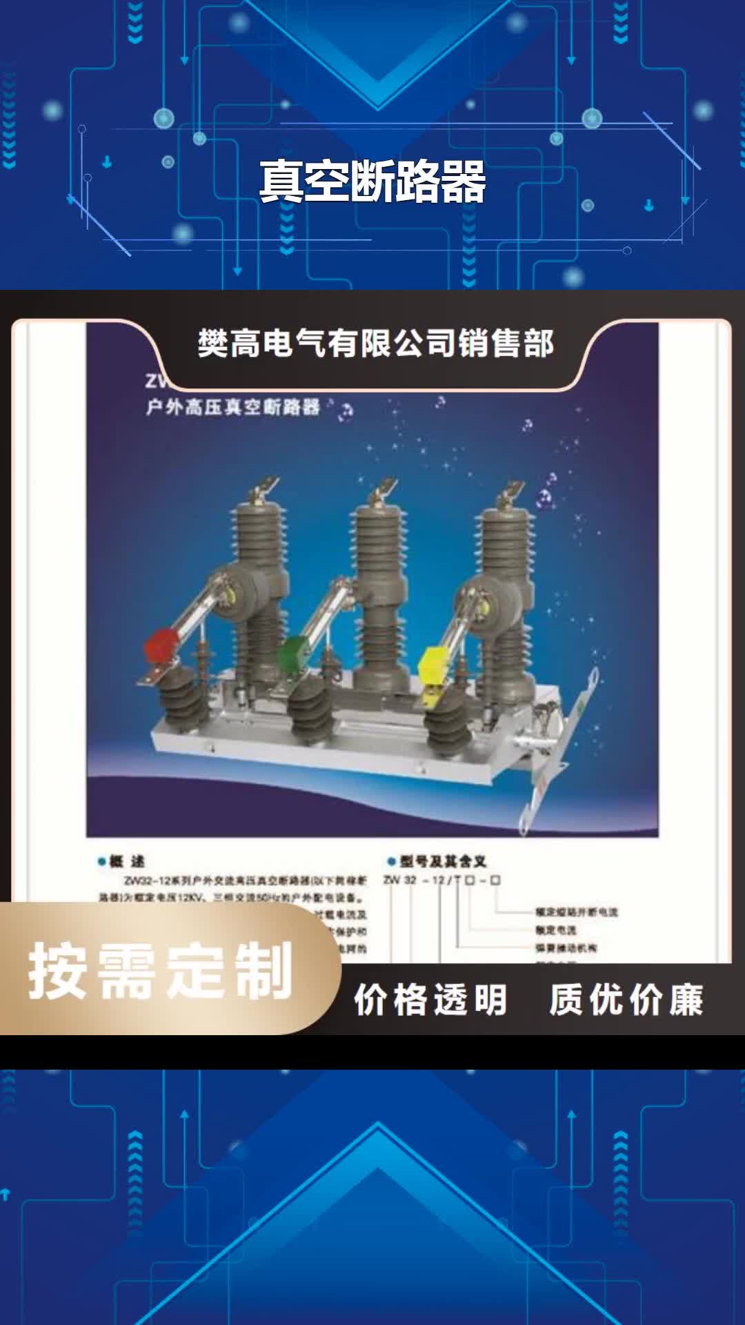 衡水真空断路器绝缘子实力见证