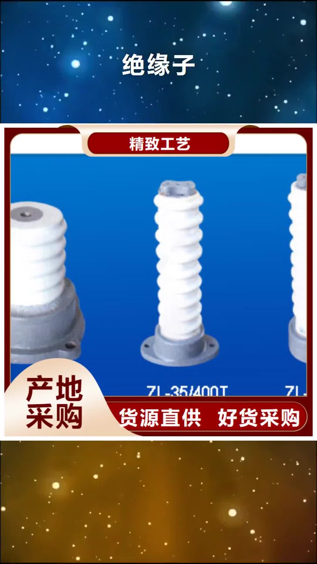 四平绝缘子氧化锌避雷器商家直供