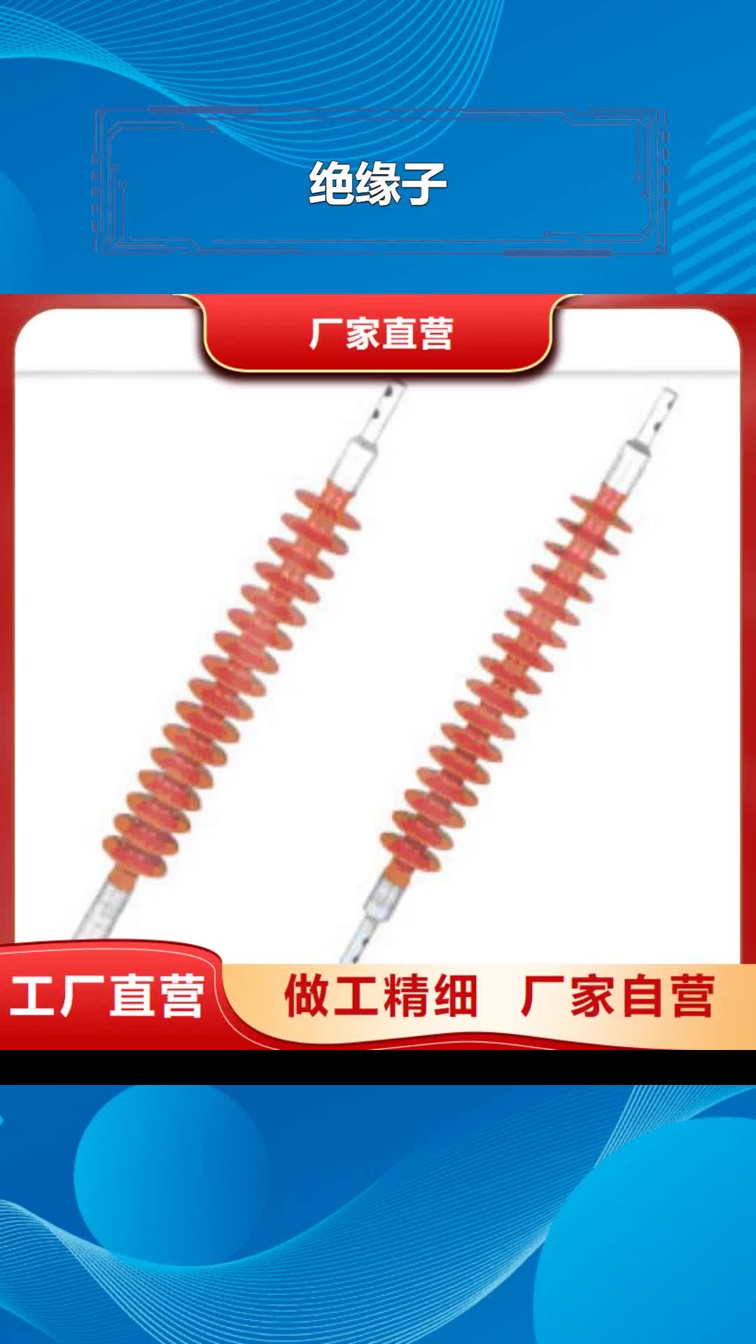 泸州绝缘子 【高低压电器】我们更专业