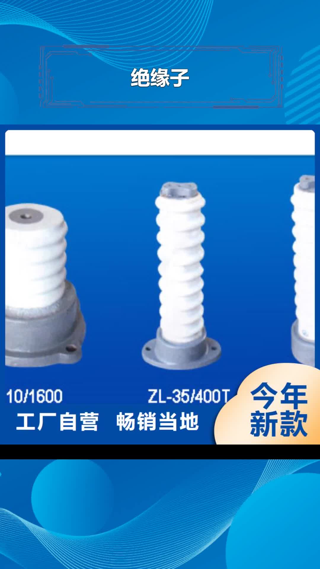 安康 绝缘子【固定金具】现货实拍