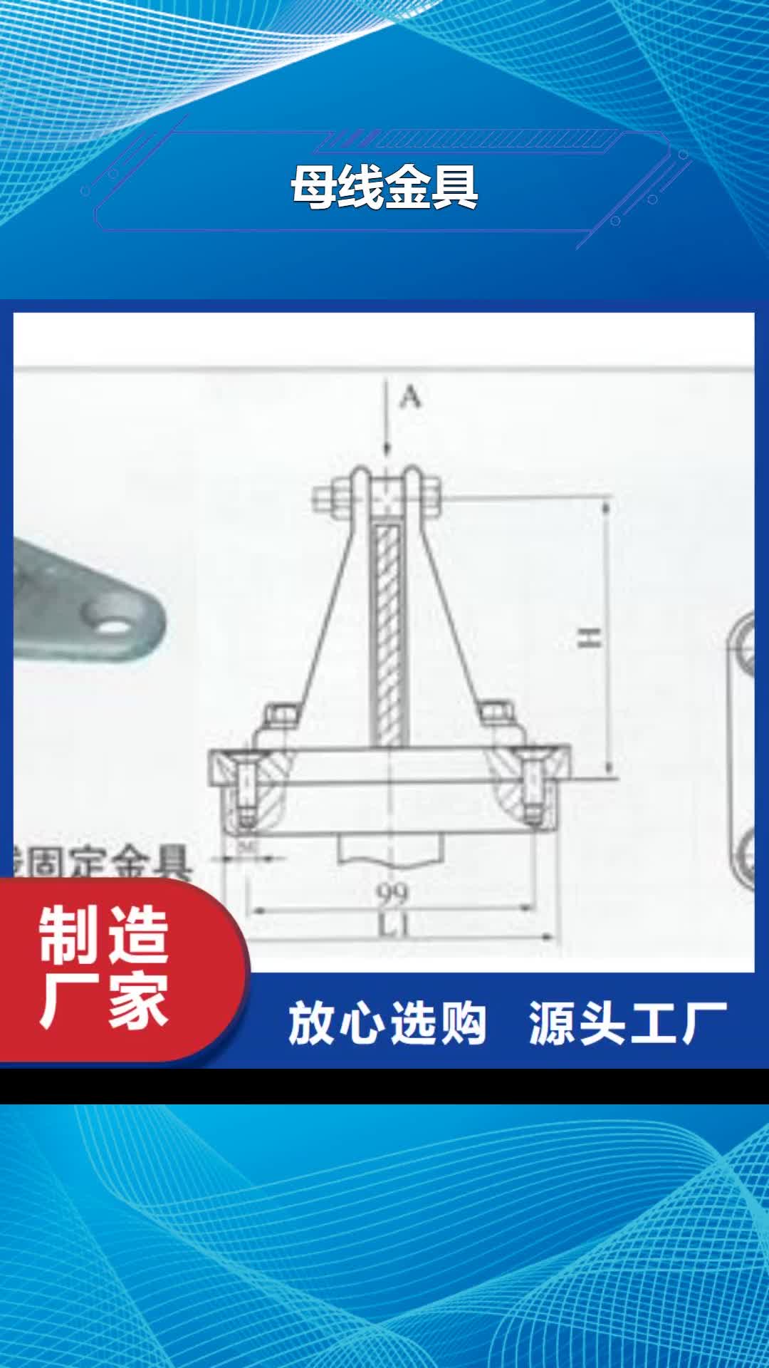 黔西南 母线金具-【跌落式熔断器】细节展示